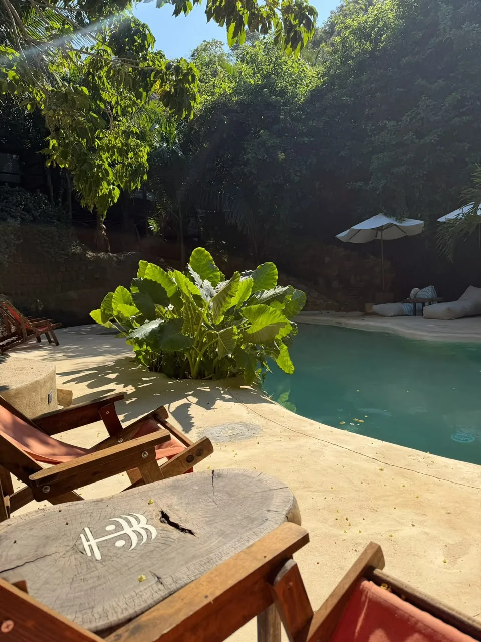 Alberca rodeada de vegetación tropical en Cocos Hotel, en la zona de Playa del Amor