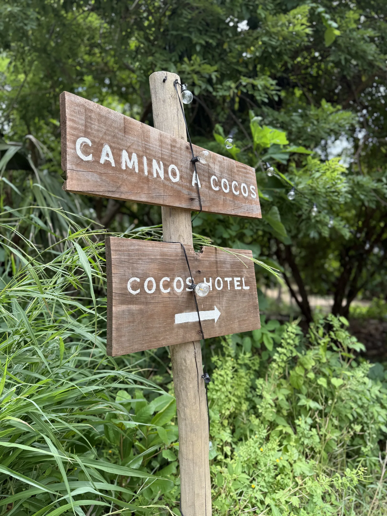 Letreros de Playa del Amor y Cocos Hotel en Zipolite, Oaxaca